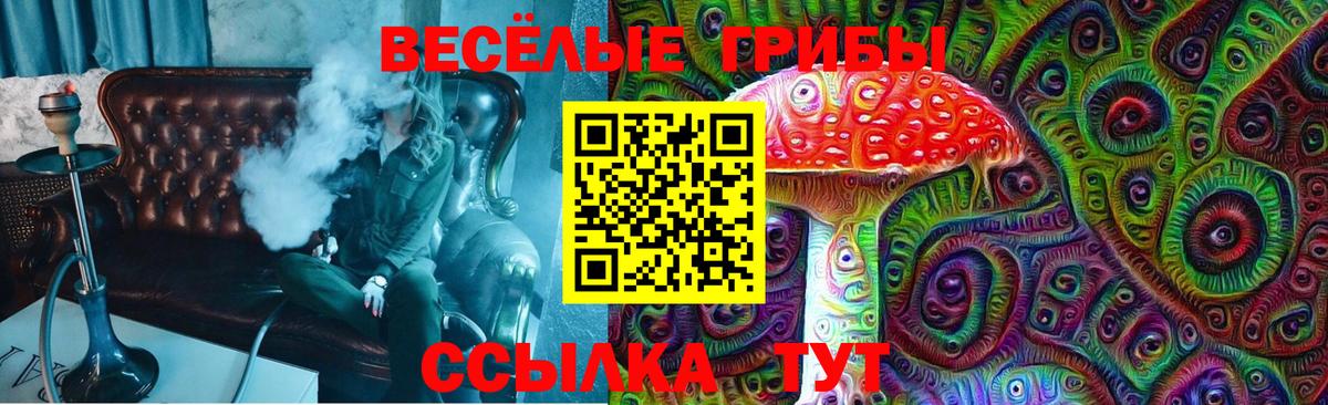 Карталы  Псилоцибиновые грибы Psilocybine cubensis  Вход с VPN 